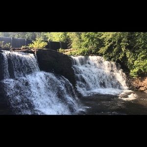 Meet your Posher, Bailey